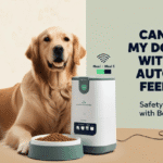 Golden Retriever safely using automatic feeder with owner away.’”