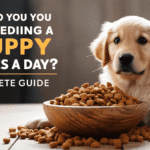 When Do You Stop Feeding a Puppy 3 Times a Day