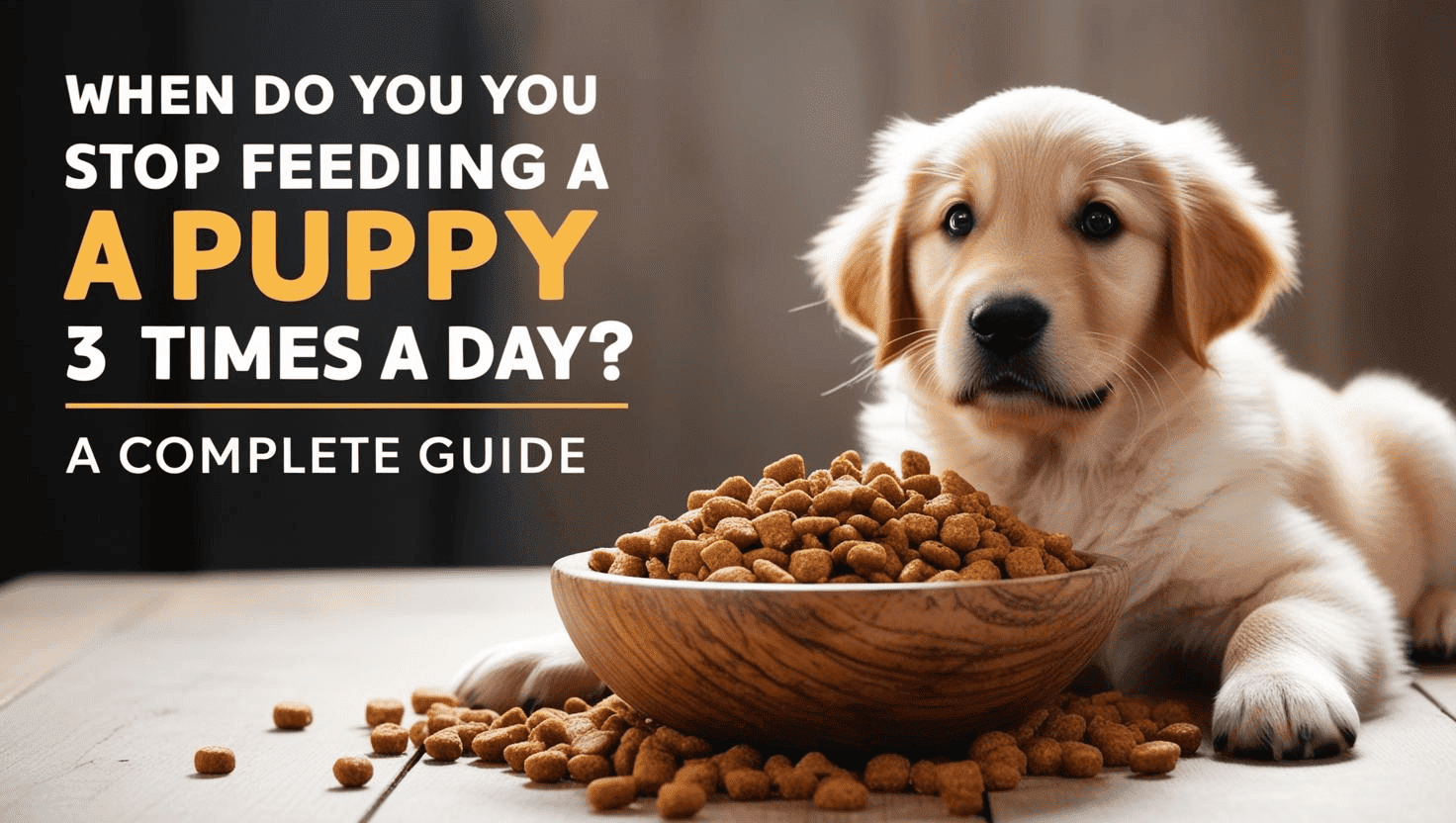 When Do You Stop Feeding a Puppy 3 Times a Day