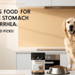 Best Dog Food for Sensitive Stomach and Diarrhea