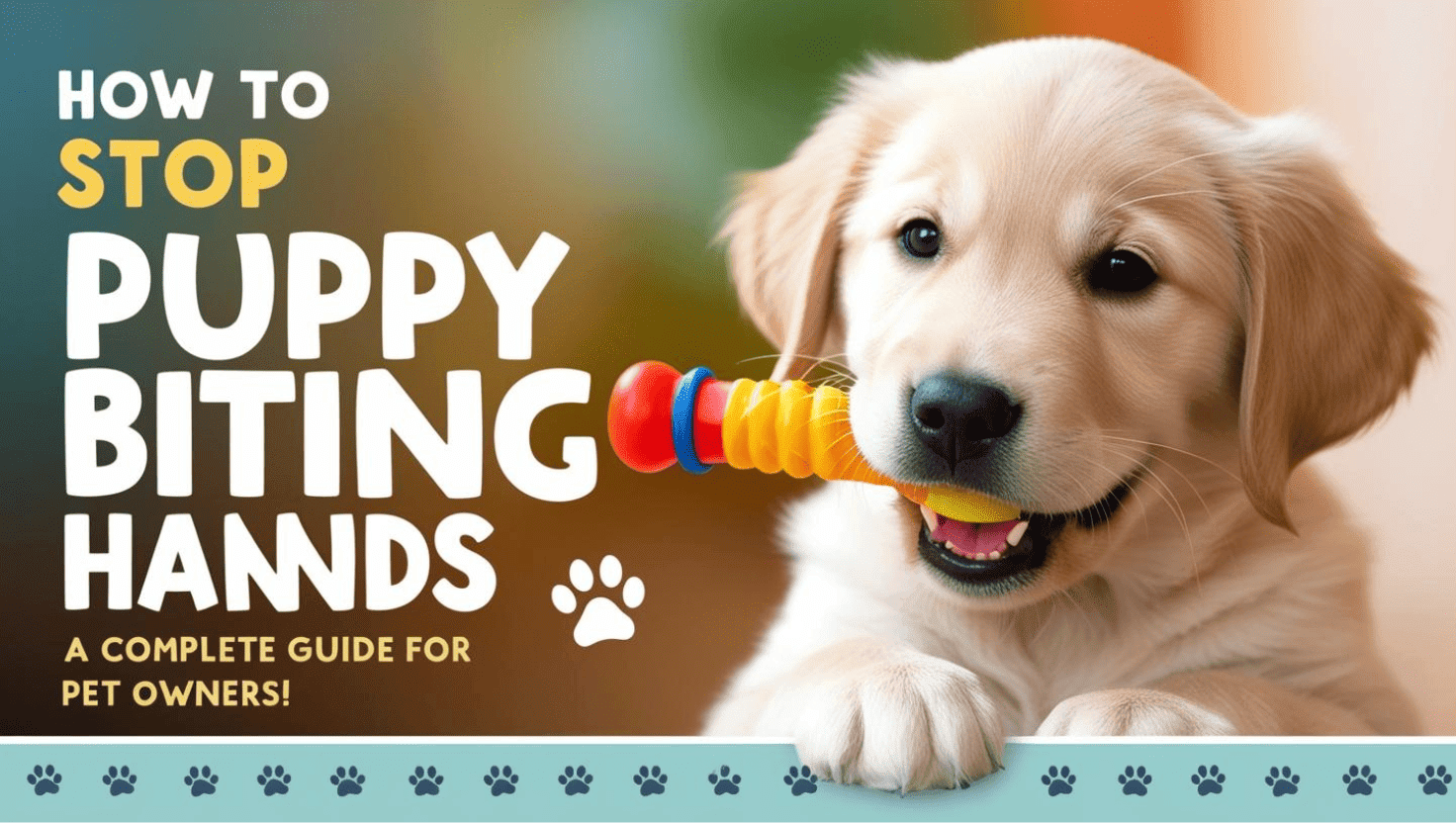 How to Stop Puppy Biting Hands