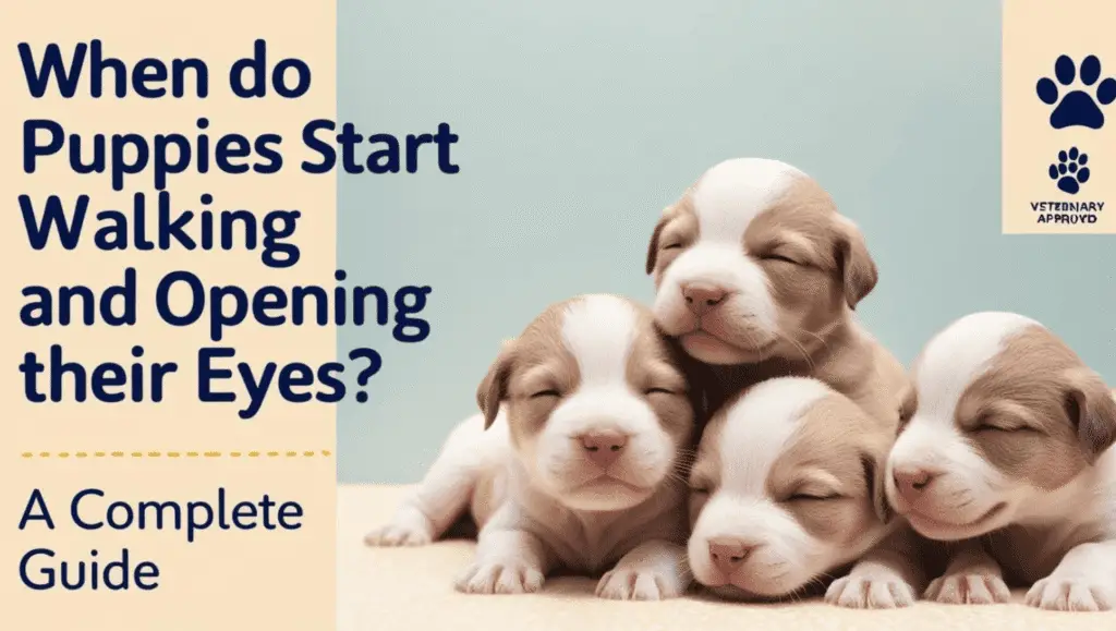 When do puppies start walking and opening their eyes