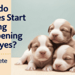 When do puppies start walking and opening their eyes
