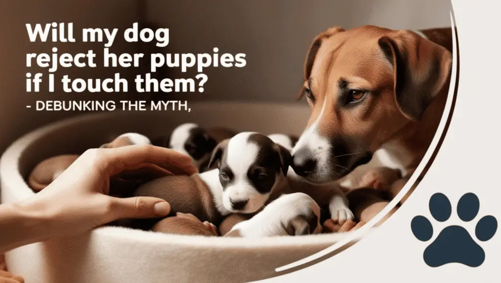Will My Dog Reject Her Puppies if I Touch Them