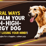 "Featured blog image: Energetic dog playing outdoors with bold title about calming high-energy dogs naturally.