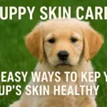 Puppy Skin Care